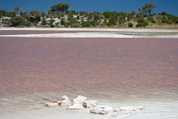 Serpentine Lake