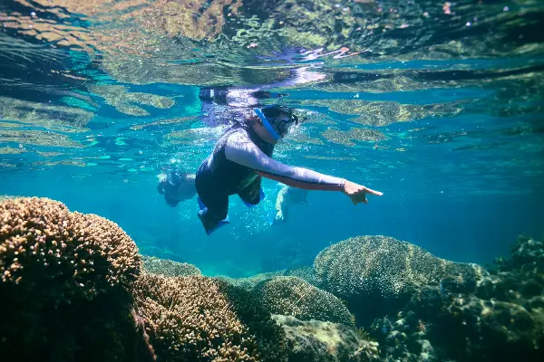 Exploring snorkel trails
