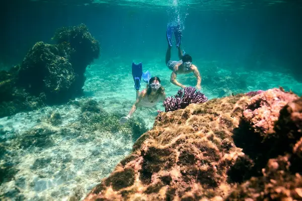 Two People snorkelling near coral.
