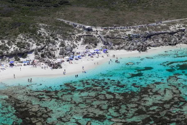 Aerial view of Salmon Bay on Wadjemup / Rottnest Island, showing white sand, clear turquoise water, reef patches, beachgoers and coastal vegetation.