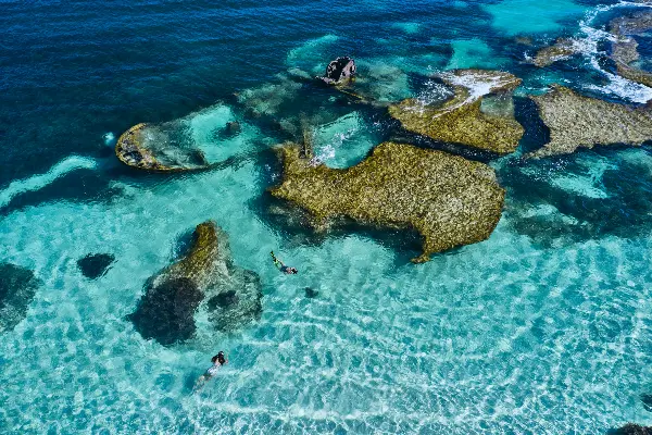 Wreck of Shark