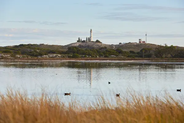 Wadjemup Lighthouse