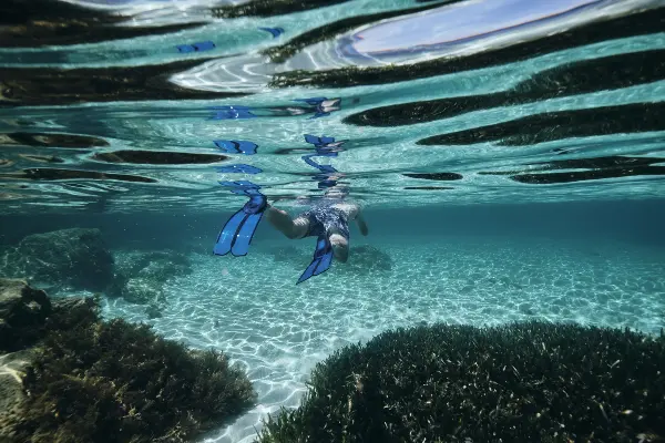 Snorkelling, Little Salmon Bay