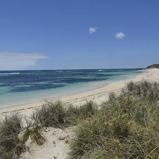 Ricey Beach