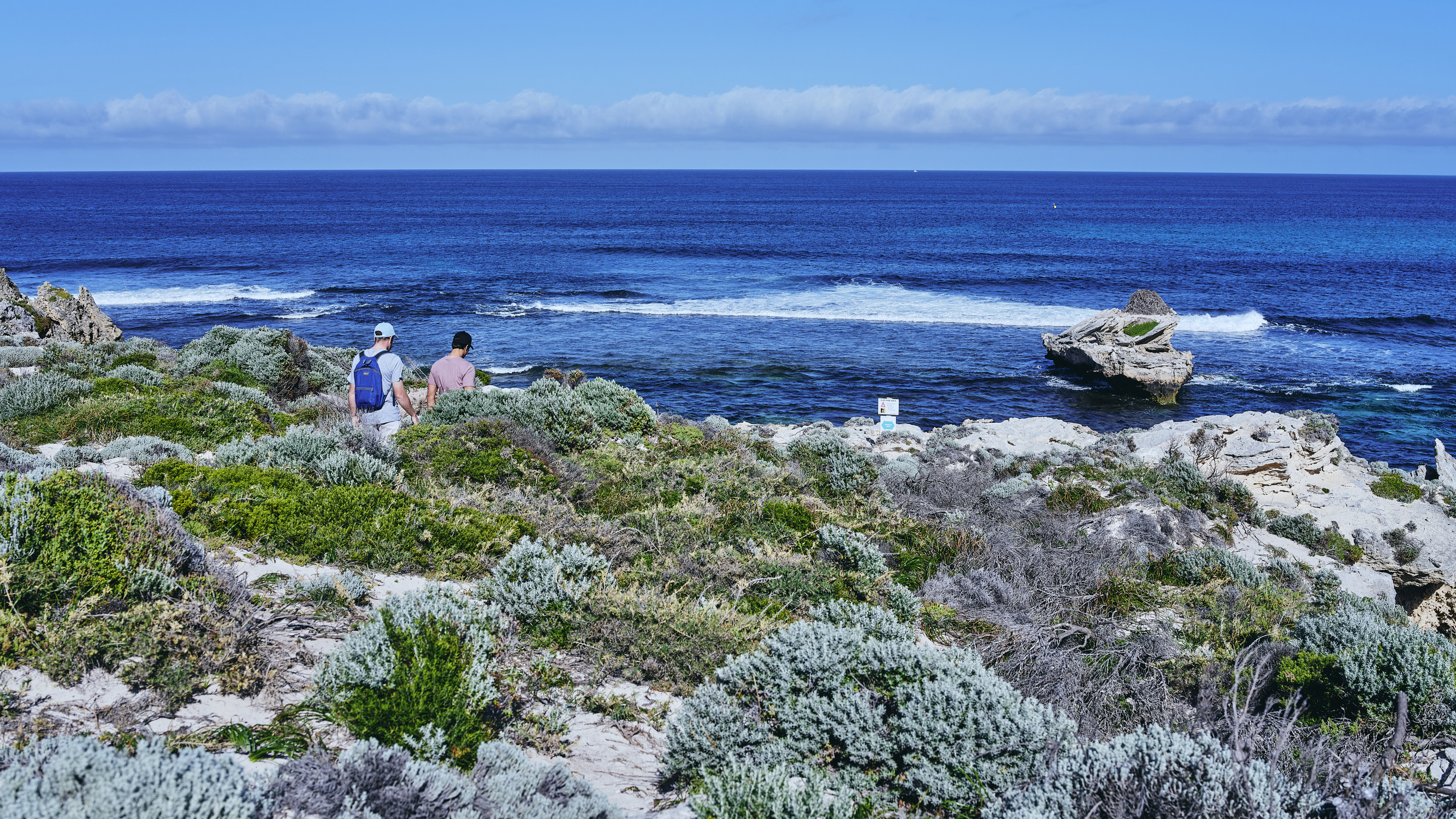 Coastal track at Salmon Bay