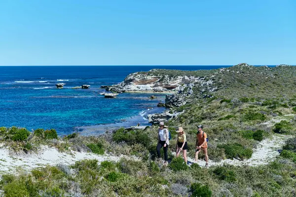 The Hike Collective at Wilson Bay