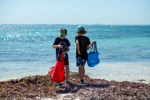 Kids learning about the natural environment on the coastline at Rottnest