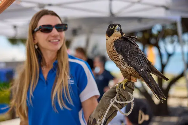 Encounter wildlife on Rottnest Island