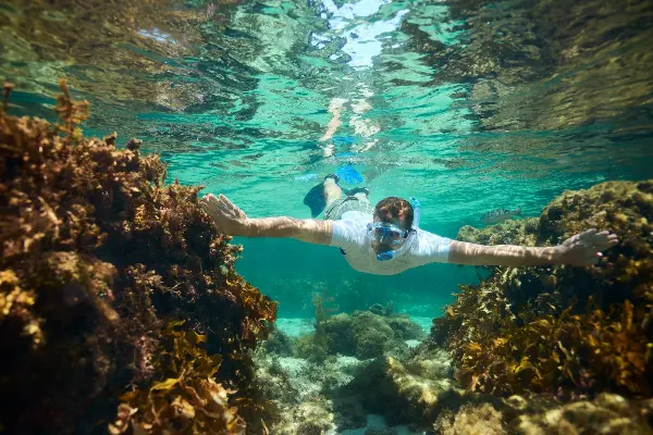 A man in a white shirt snorkeling near coral
