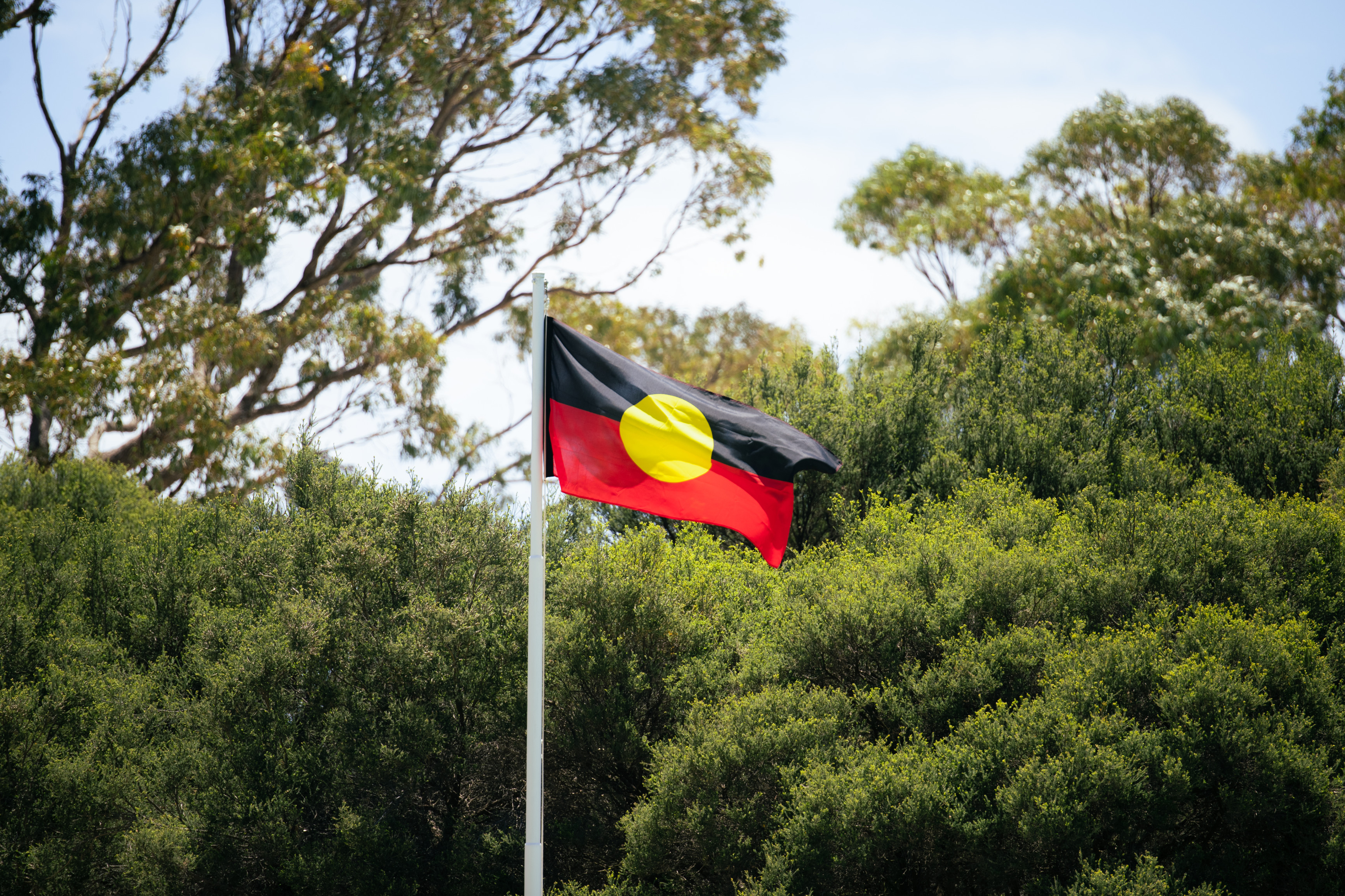 Aboriginal flag