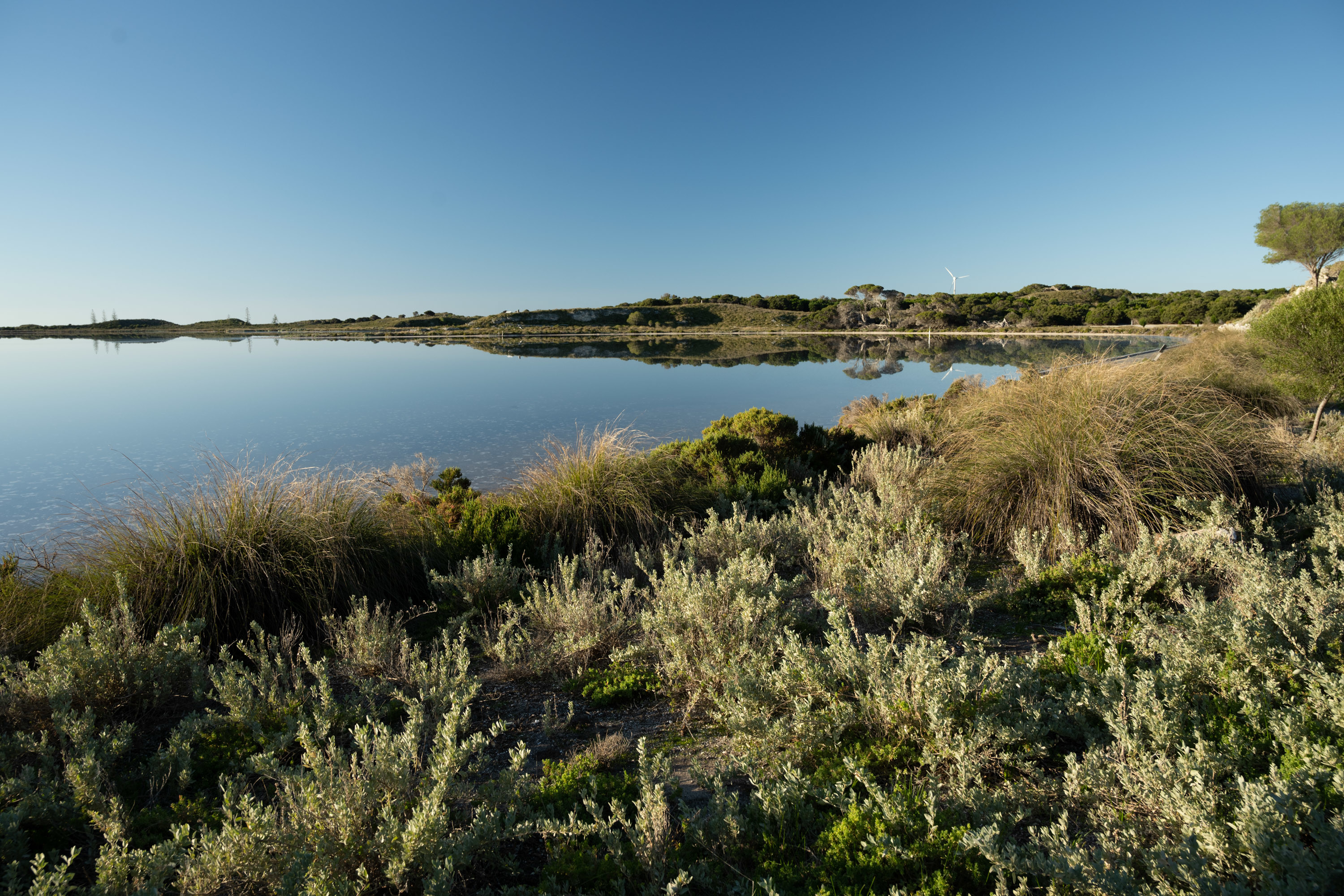 Lake view