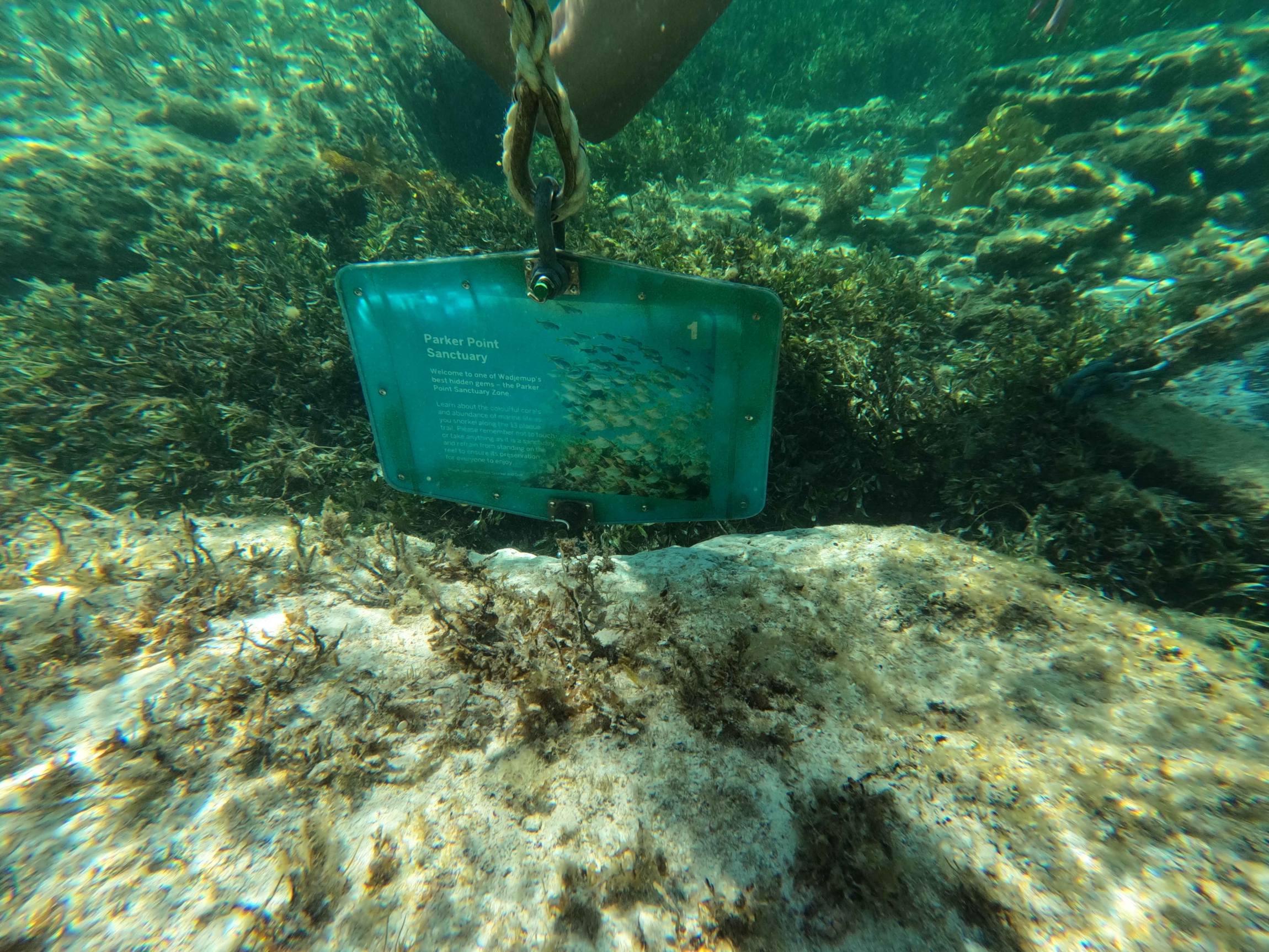 Rottnest Island | Parker Point Snorkel Trail