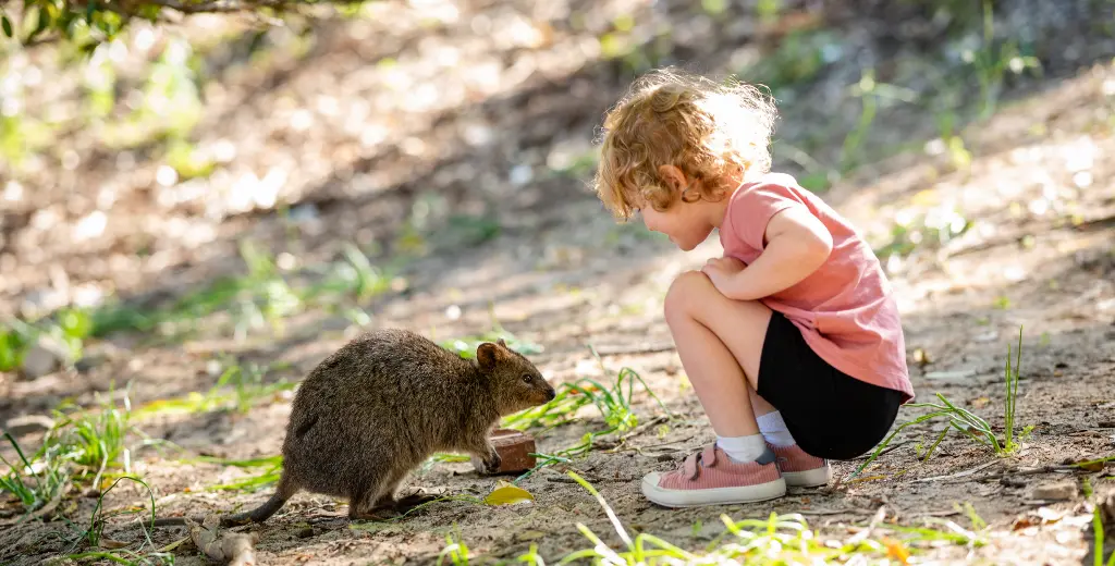 Girl sitting next to quokka