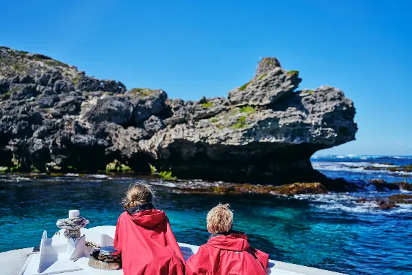 Children looking at the osprey nest on the Eco Express Boat Tour