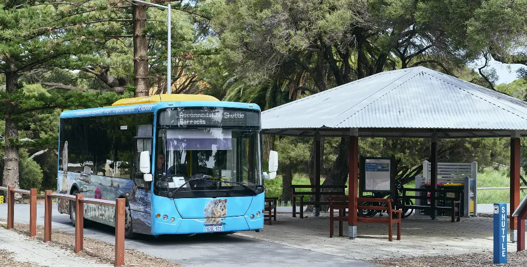 Quokka Coaches