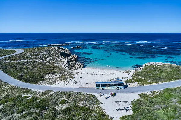 Quokka Coaches