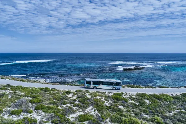 Quokka Coaches