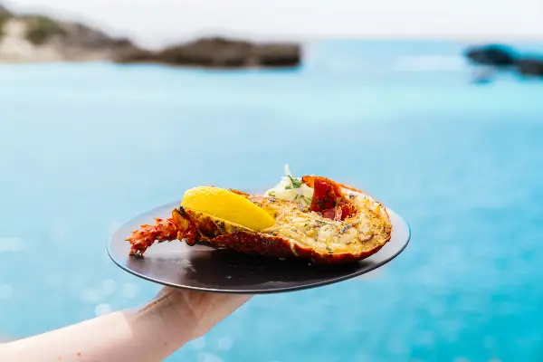 Enjoy delicious seafood