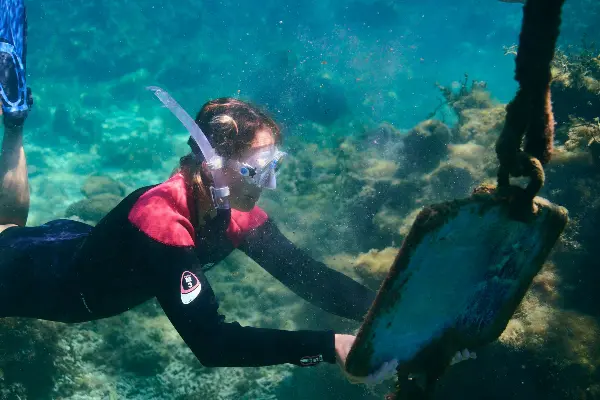 Discover the best snorkelling spots.