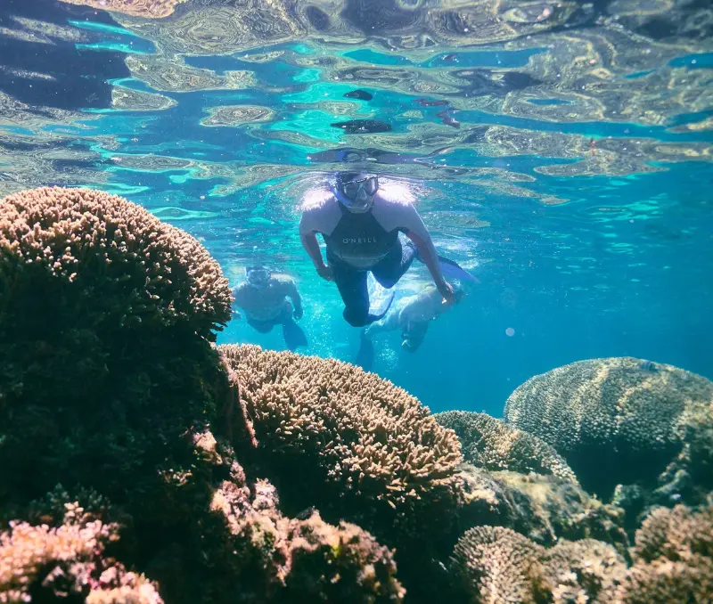 Snorkellers exploring a reef