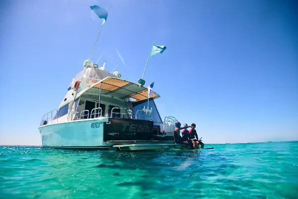 17m flybridge on crystal clear blue water and snorkellers getting their equipment ready