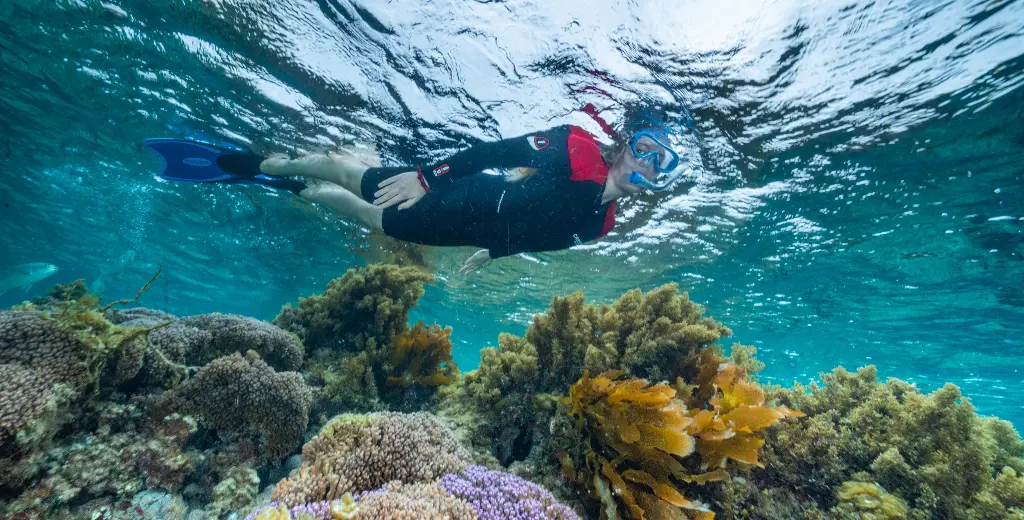 Rottnest Snorkel