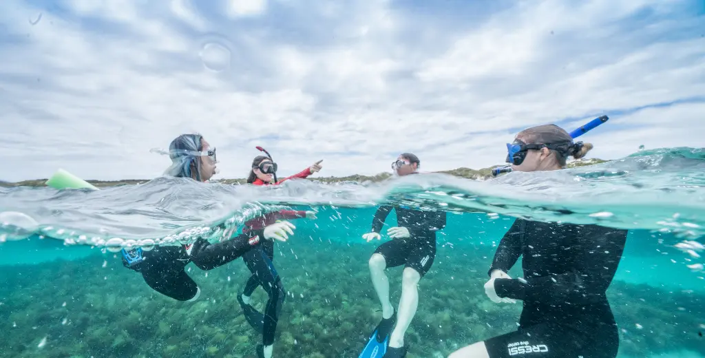 Rottnest Snorkel