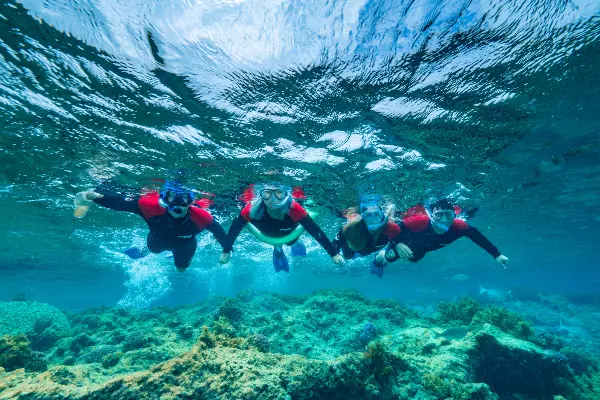 Rottnest Snorkel