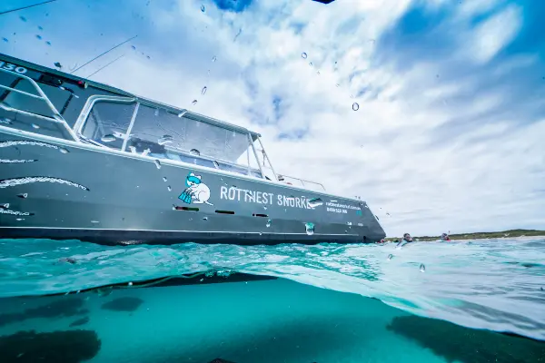 Rottnest Snorkel