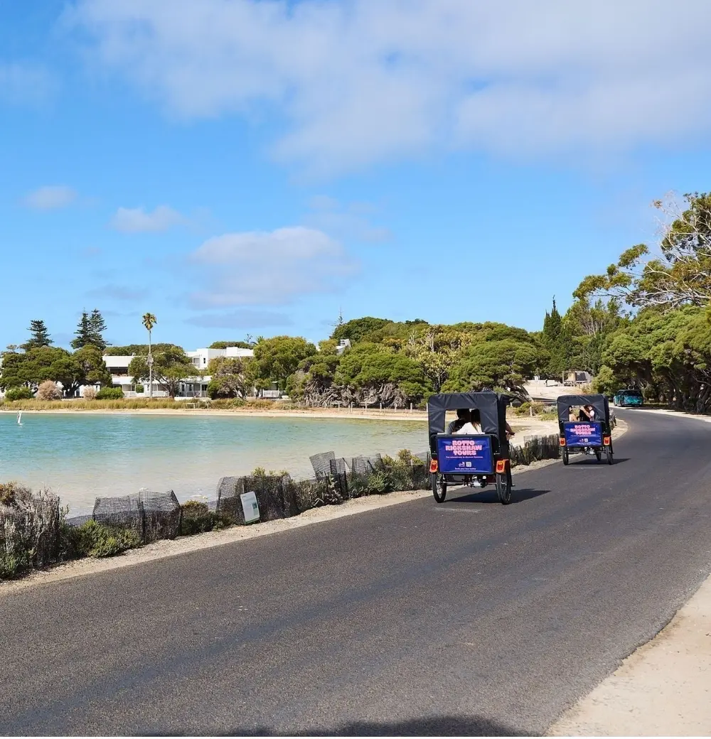 Tour the Rottnest Island with your friends