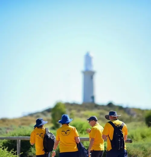 Discover Rottnest Island tours