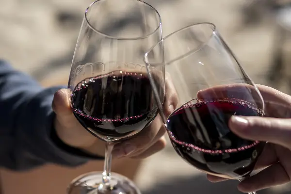 Cheers | Two red wine glasses clinking at Hotel Rottnest