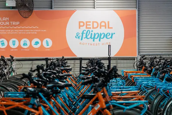 Bikes lined up ready to be rented at Pedal & Flipper Hire
