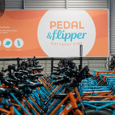 Bikes lined up ready to be rented at Pedal & Flipper Hire