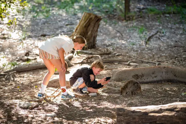 Two kids taking photos of a quokka.