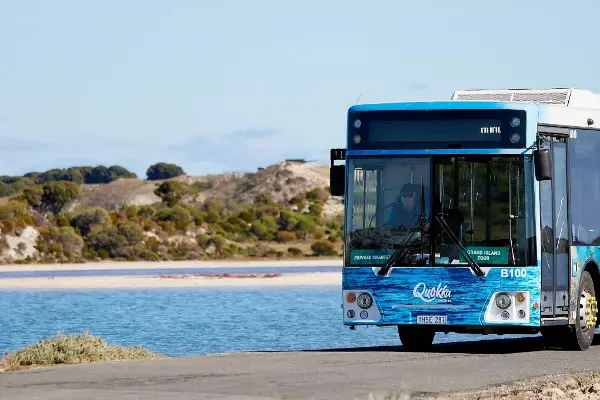 Experience Rottnest Island in spring