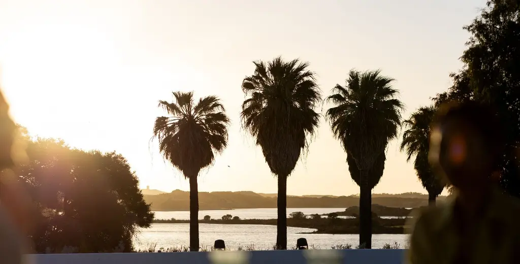 Palm trees overlooking Garden Lake.