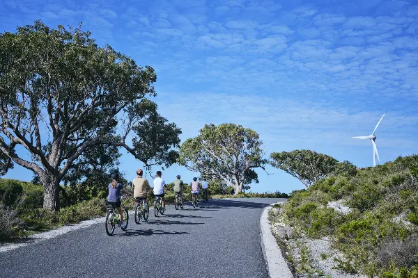 See the island sights with ease on an electric bike tour at Geordie Bay.